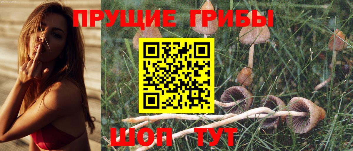 Галлюциногенные грибы GOLDEN TEACHER Бор