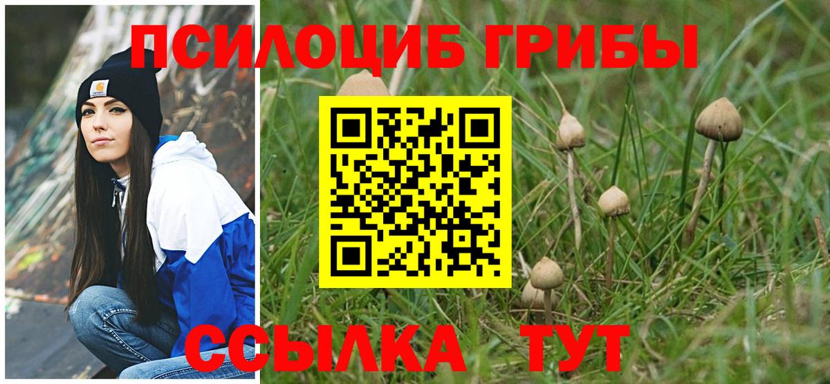что такое   Галлюциногенные грибы прущие грибы  Вход с VPN  Бор 